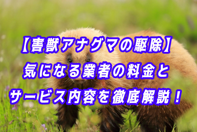 アナグマ　駆除