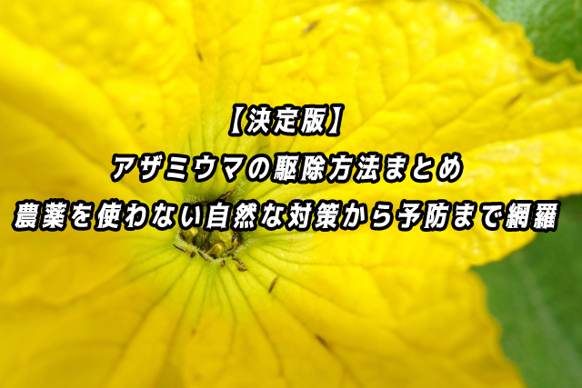 アザミウマ　駆除