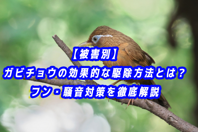 ガビチョウ　駆除
