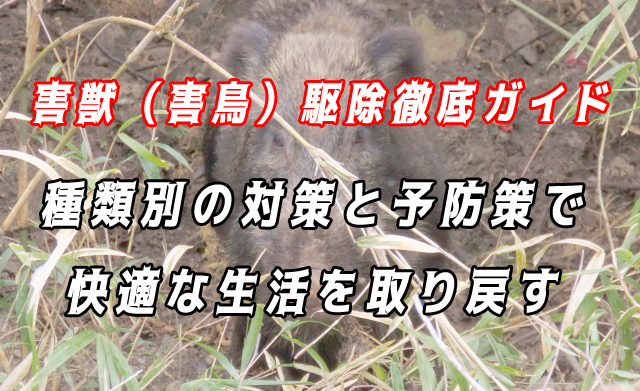 害獣駆除　徹底ガイド