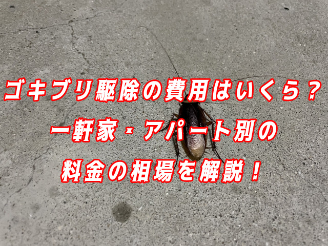 ゴキブリ　駆除