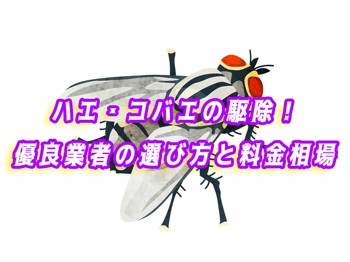ハエ　駆除