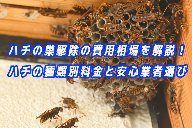 ハチ（ハチの巣）　駆除