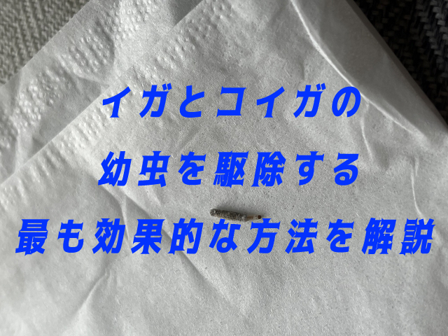 イガ　コイガ　駆除