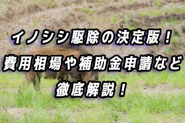 イノシシ　駆除