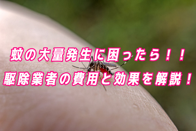 蚊　駆除