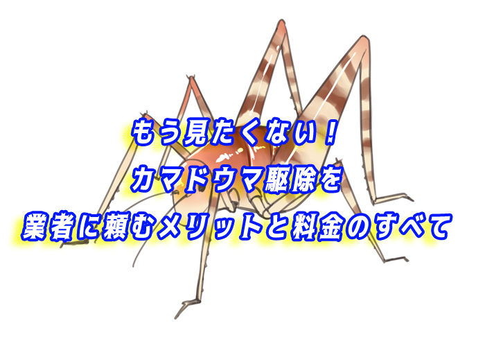 カマドウマ　駆除