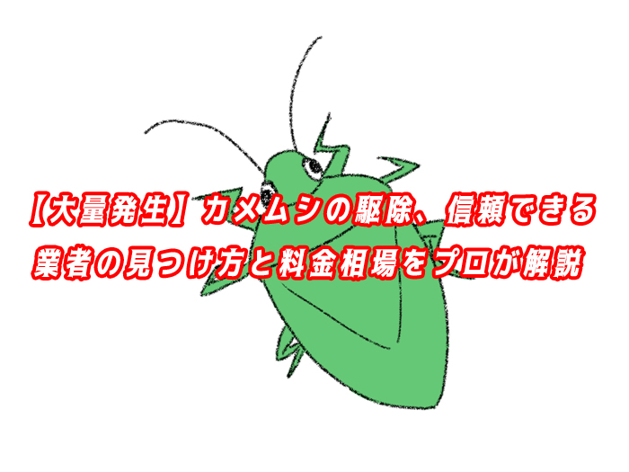 カメムシ　駆除