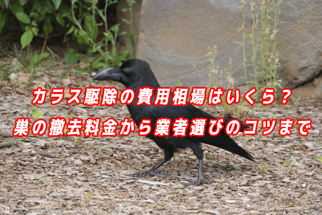 カラス　駆除