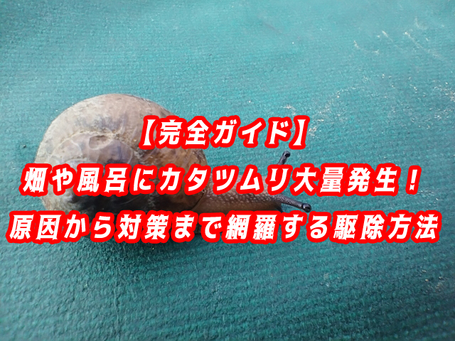 カタツムリ　駆除