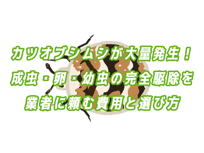 カツオブシムシ　駆除