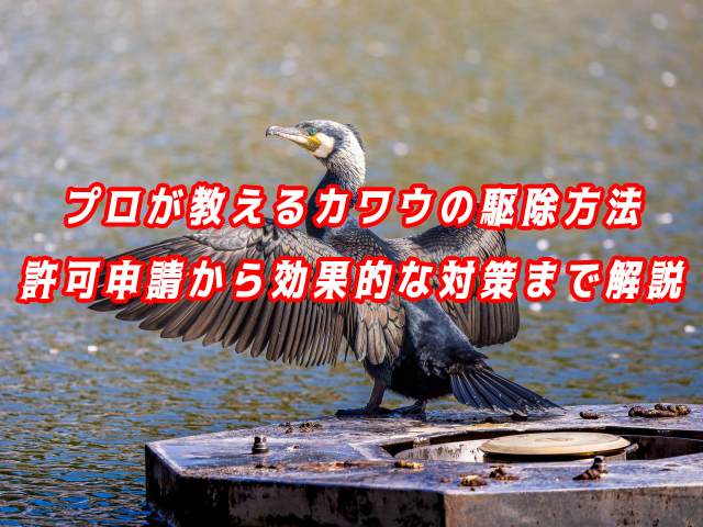 カワウ　駆除