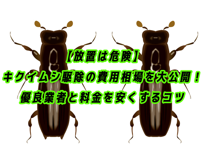 キクイムシ　駆除