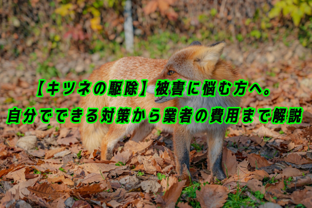 キツネ　駆除