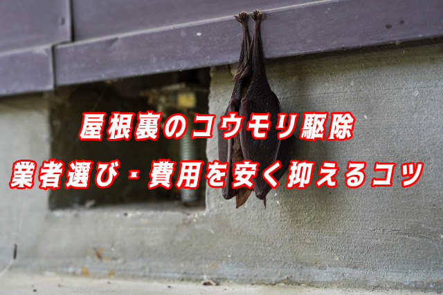 コウモリ　駆除