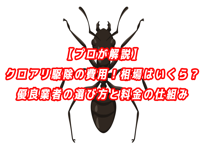 クロアリ　駆除