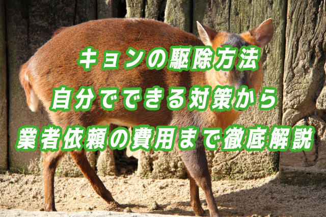 キョン　駆除