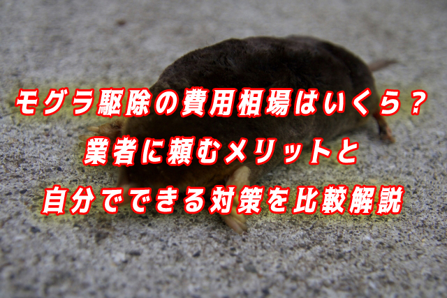 モグラ駆除
