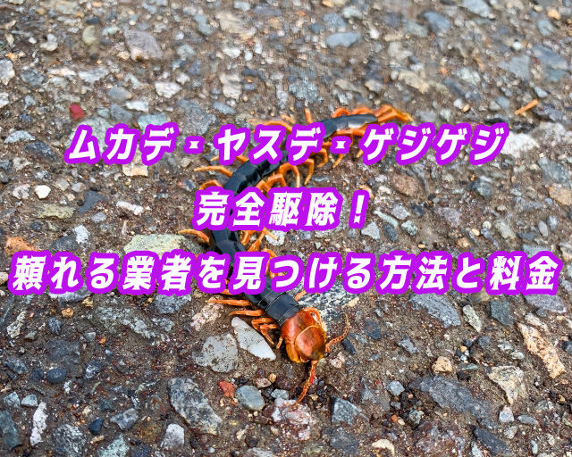 ムカデ　ヤスデ　ゲジゲジ　駆除