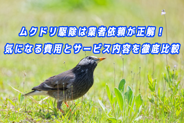 ムクドリ　駆除