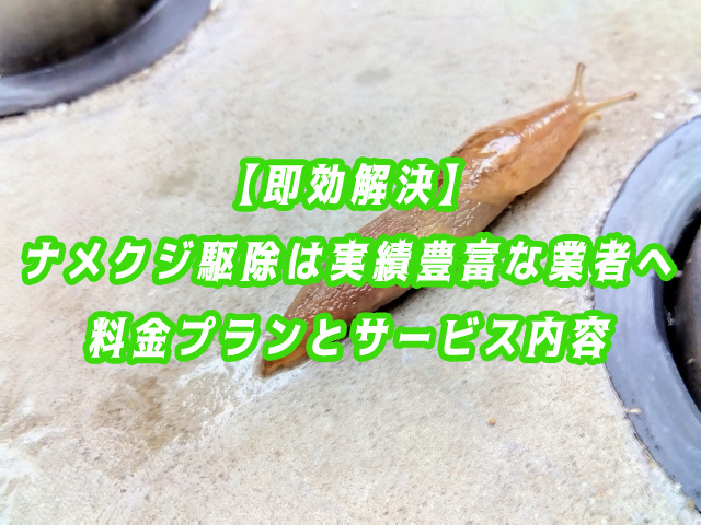 ナメクジ　駆除
