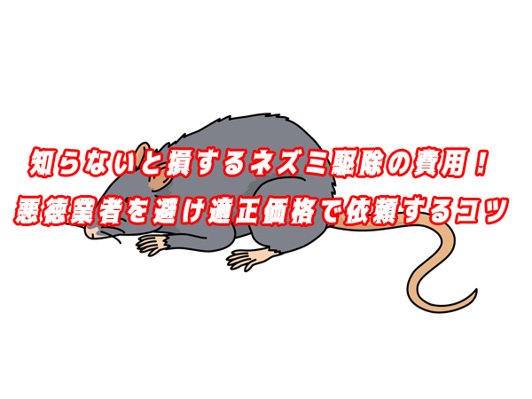 知らないと損するネズミ駆除の費用！悪徳業者を避け適正価格で依頼するコツ