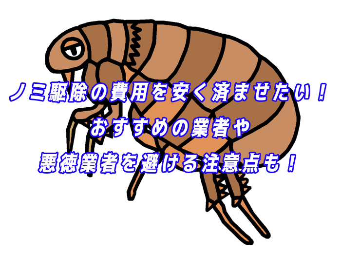 ノミ　駆除