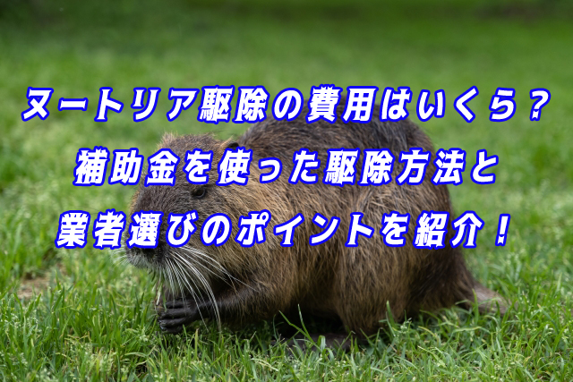 ヌートリア　駆除