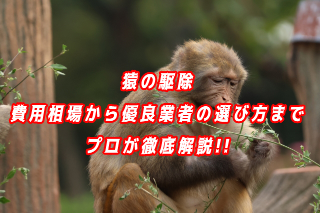 猿　駆除