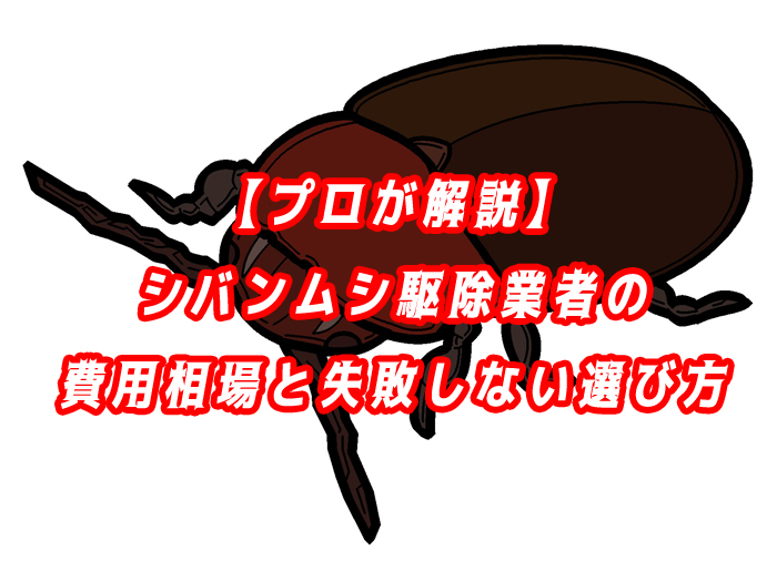 シバンムシ　駆除