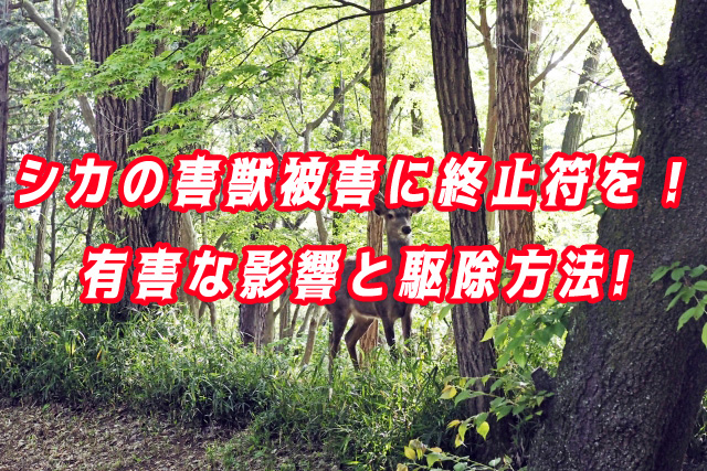 シカ　駆除　イメージ