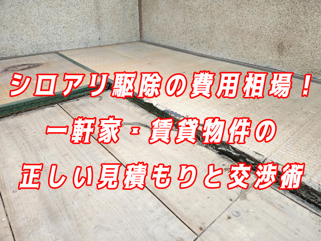 シロアリ　駆除
