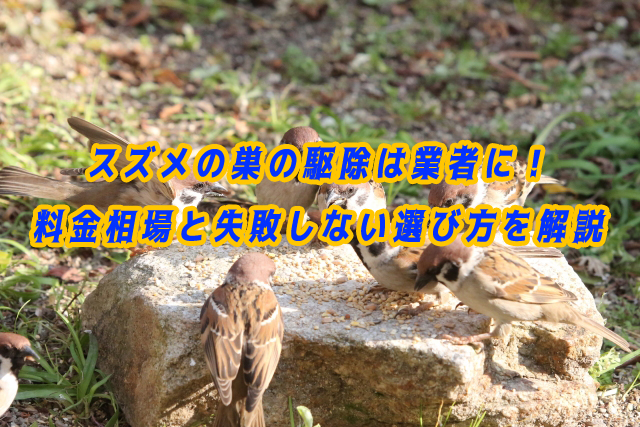 スズメ（巣）　駆除