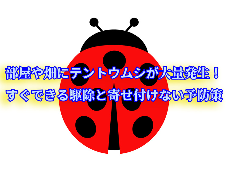 テントウムシ　駆除