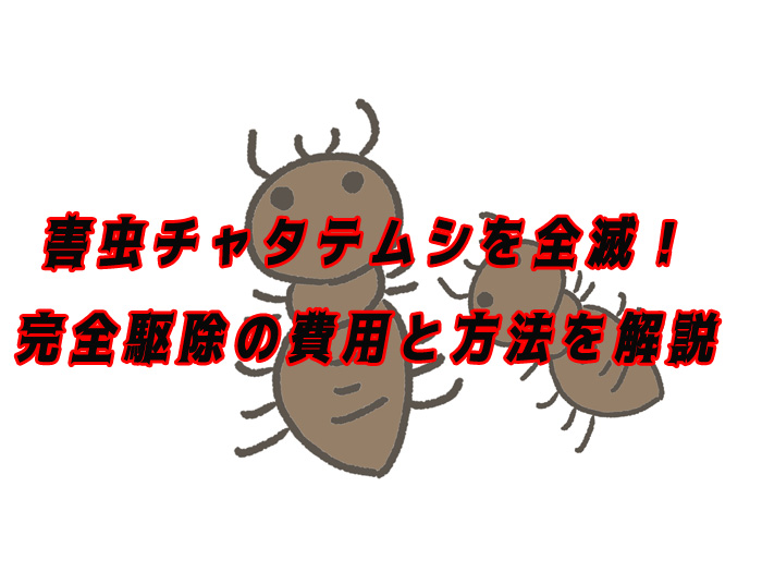 チャタテムシ　駆除