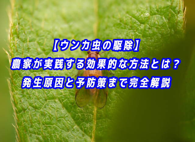 【ウンカ虫の駆除】農家が実践する効果的な方法とは?発生原因と予防策まで完全解説
