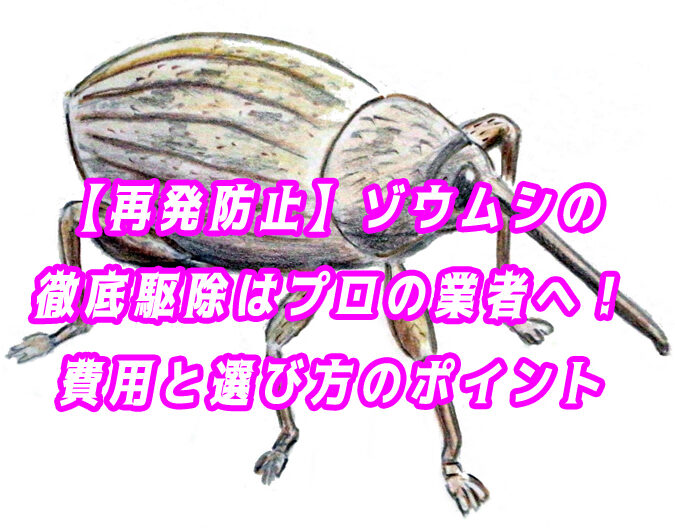 ゾウムシ　駆除