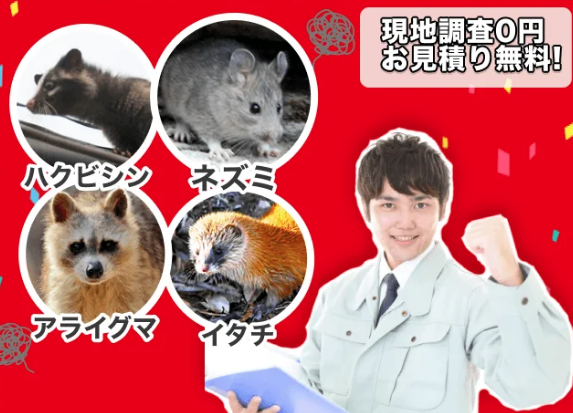 街角害獣駆除相談所