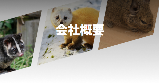 駆除の達人 会社概要