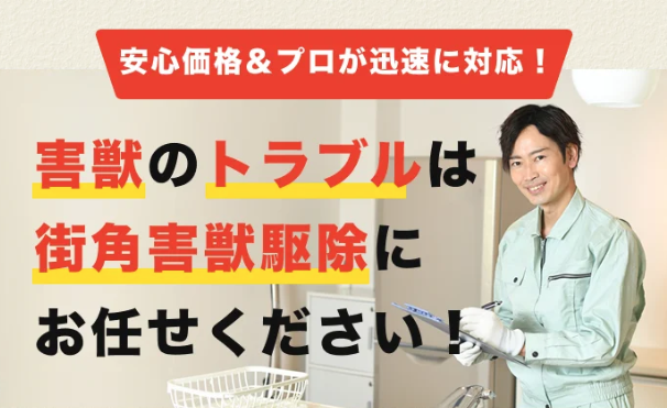 街角害獣駆除相談所 会社イメージ