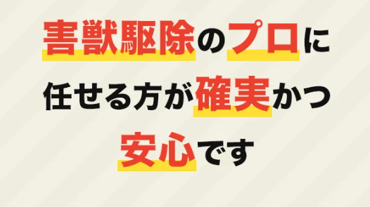 街角害獣駆除相談所 イメージ2
