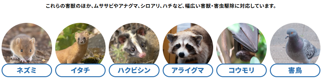 害獣プロテック 対応害獣イメージ