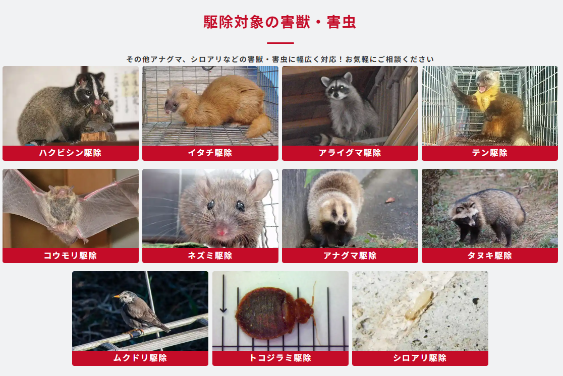 駆除ザウルス 対象駆除害獣と害虫