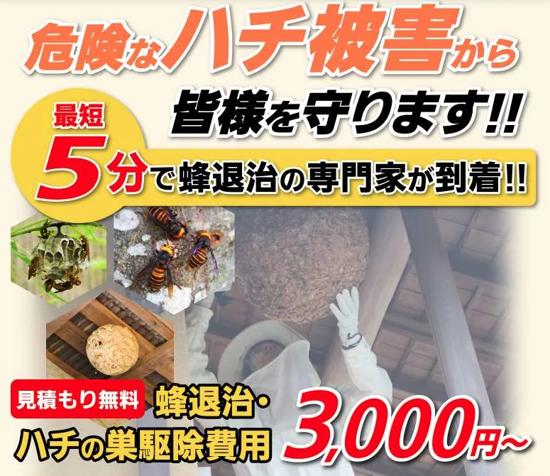 ハチバスター