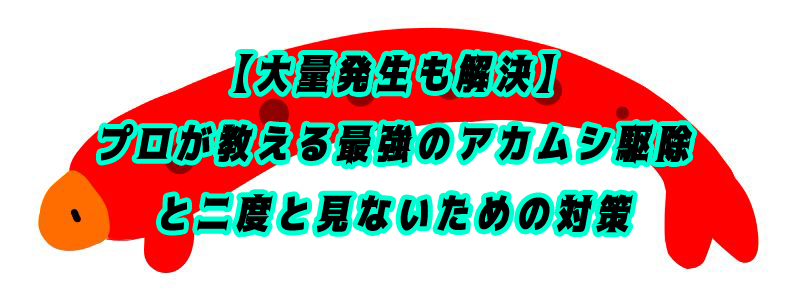 【大量発生も解決】プロが教える最強のアカムシ駆除と二度と見ないための対策