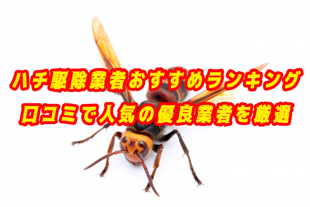 ハチ駆除業者　おすすめランキング