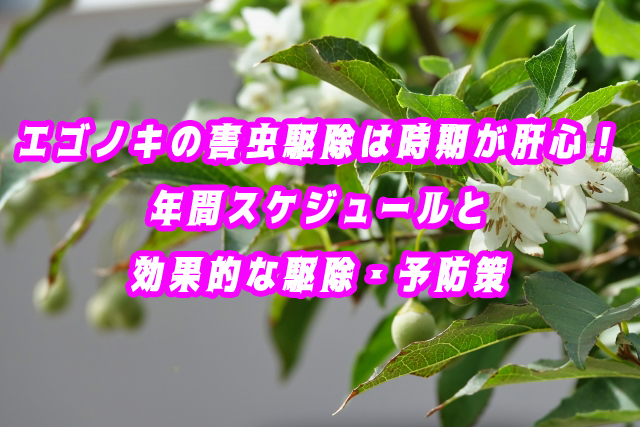エゴノキの害虫駆除は時期が肝心！年間スケジュールと効果的な駆除・予防策