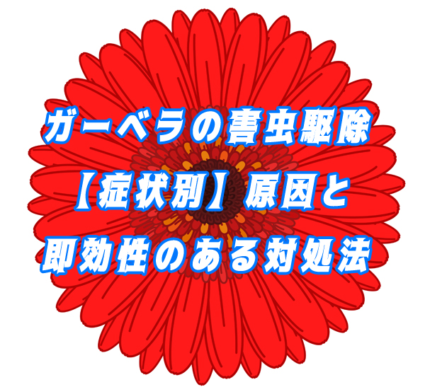 手遅れになる前に！ガーベラの害虫駆除【症状別】原因と即効性のある対処法