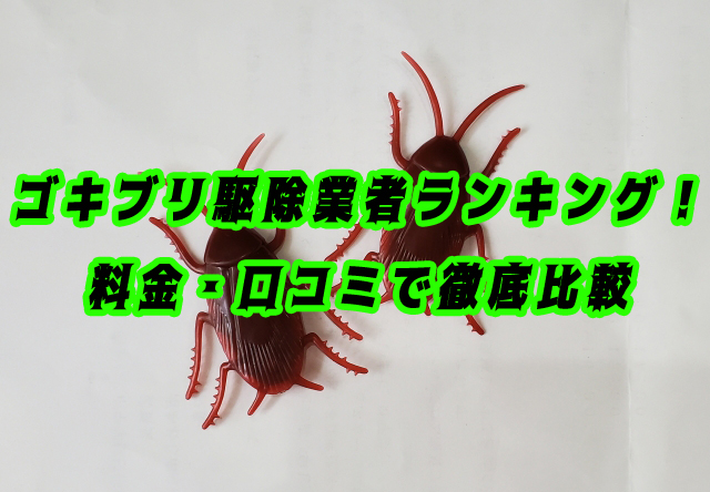 ゴキブリ駆除　業者ランキング