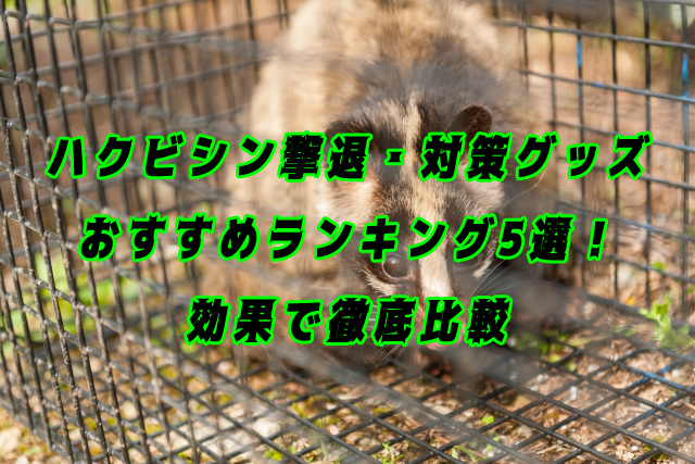 ハクビシン　撃退　グッズ